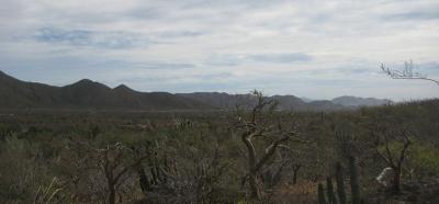 Lots/Land For sale in El Pescadero, Baja California Sur, Mexico - Sin Nombre, Lote 1013